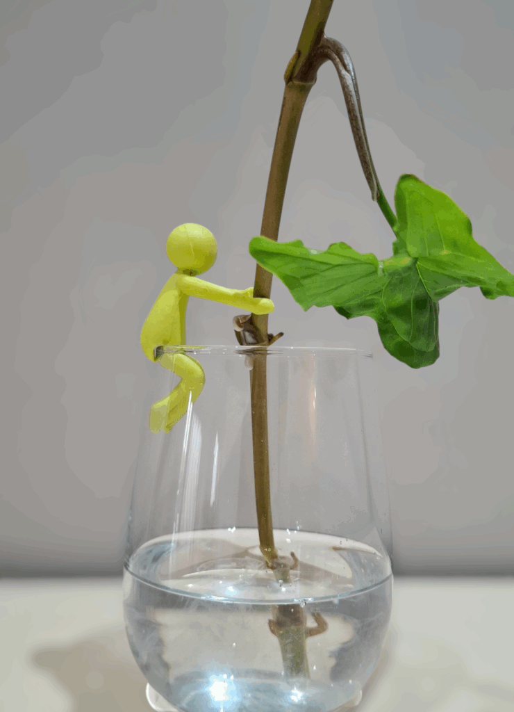Propagation buddy