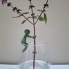 Propagation buddy