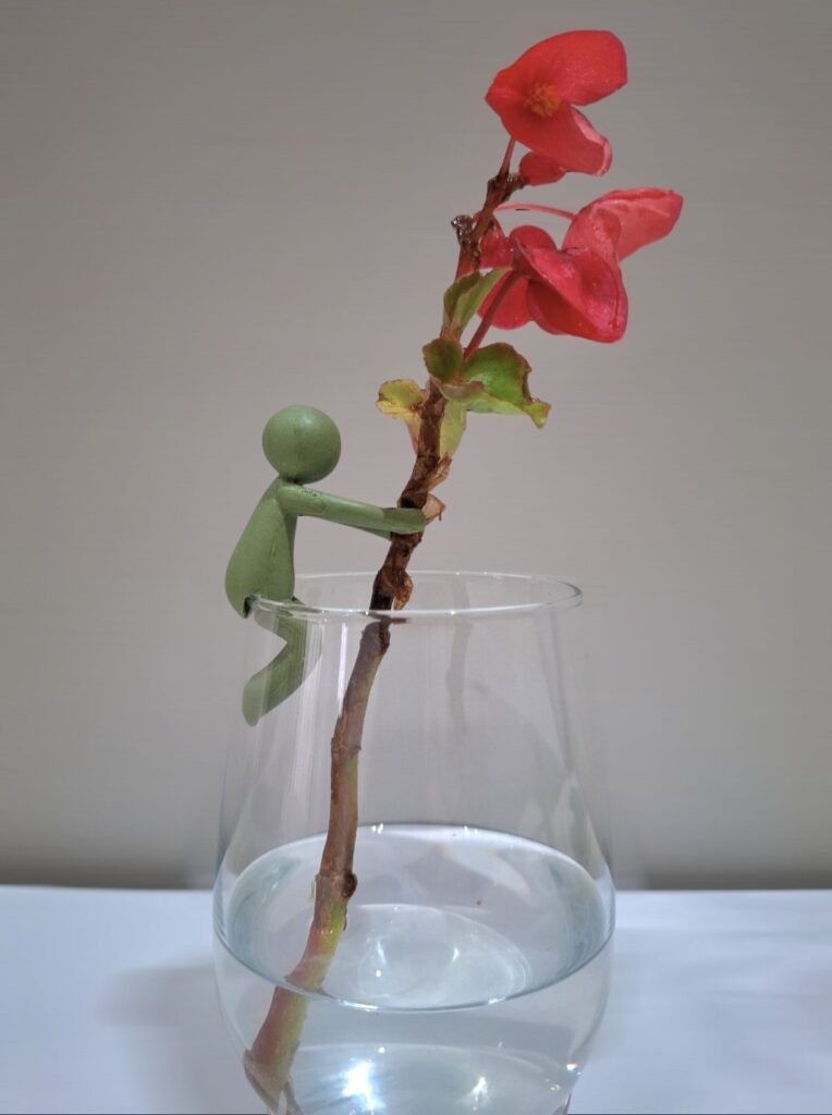 Propagation buddy