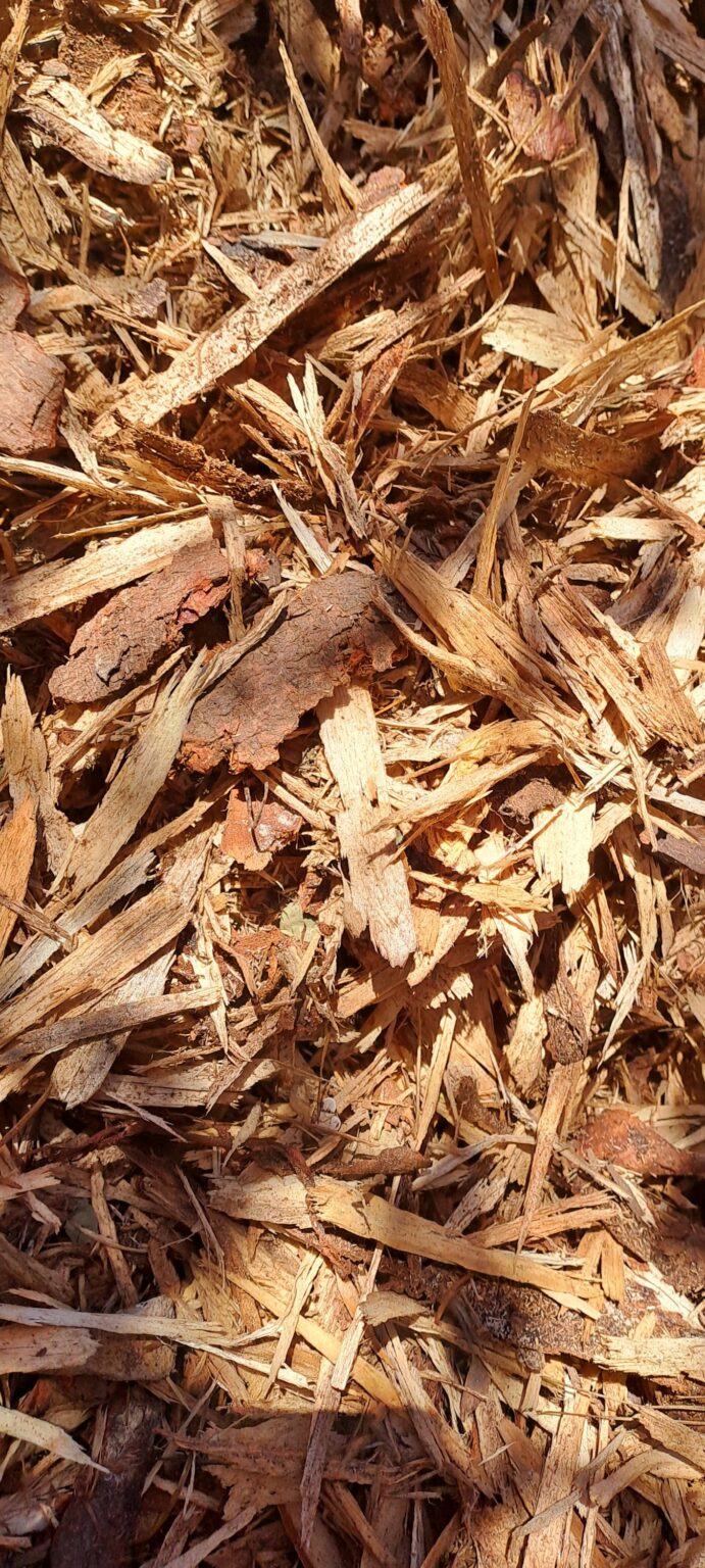 1000230993-scaled.jpg Pine shaving mulch 4m³ delivered in Somerset and Stellenbosch