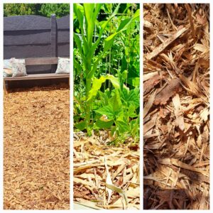 Pine shaving mulch 4m³ delivered in Somerset and Stellenbosch