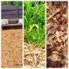 1000230996-scaled.jpg Pine shaving mulch 4m³ delivered in Somerset and Stellenbosch
