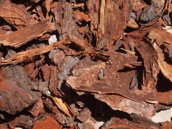 1000341442.jpg Pine Bark Mulch – Delivered in Strand & Somerset West