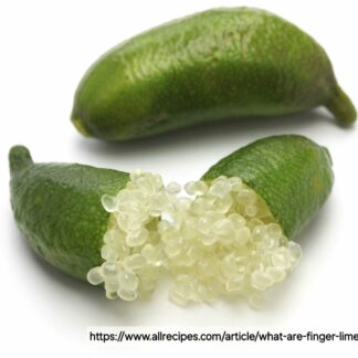 Finger Lime Plant 4L
