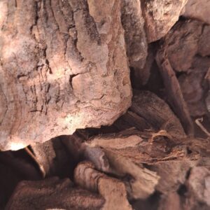 Bark Mulch Bag 30dm
