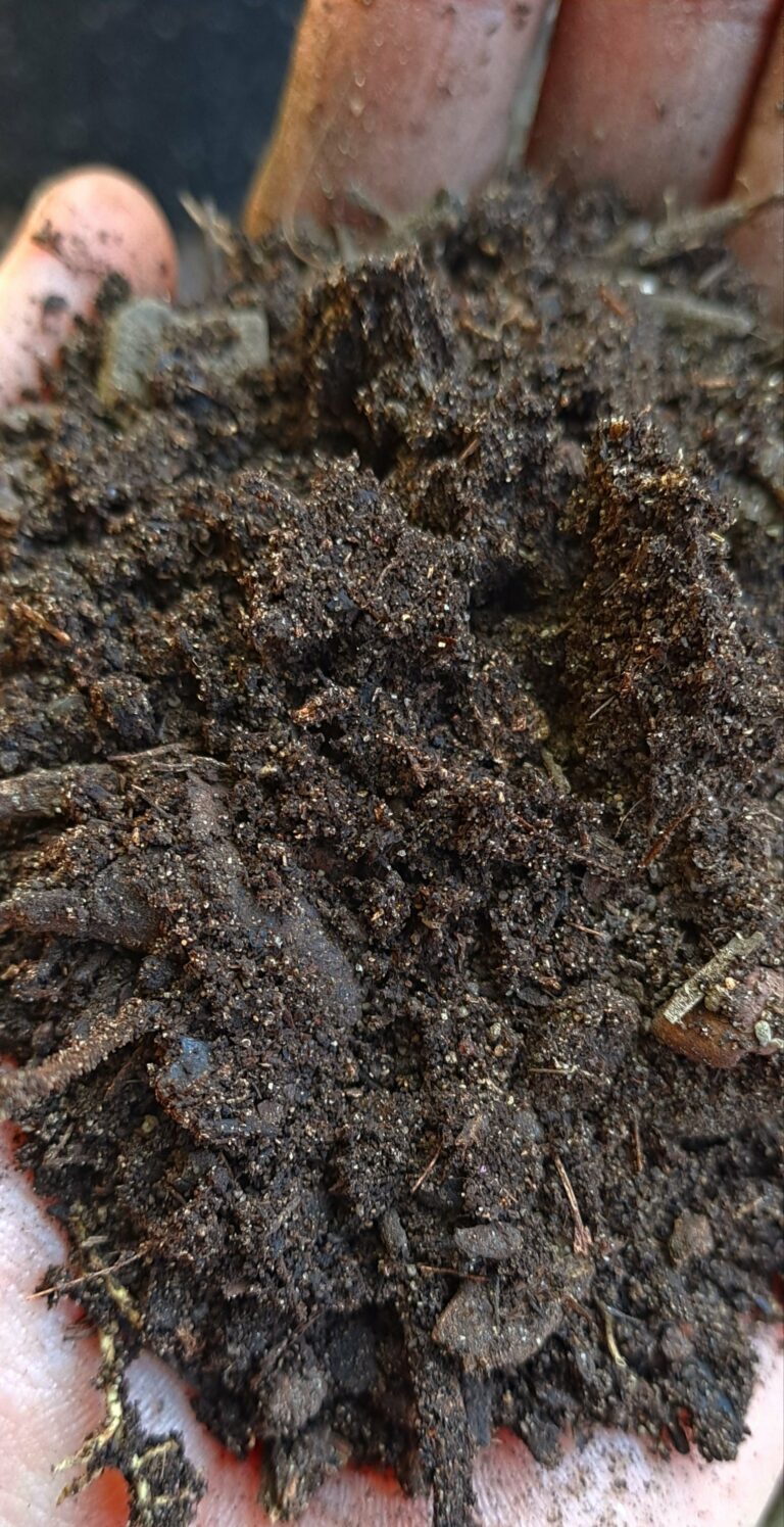 Compost 1m³ incl delivery in Swest/Strand areas (2cubesR2200)