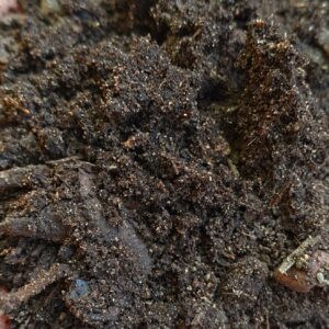 Compost 1m³ incl delivery in Swest/Strand areas (2cubesR2200)