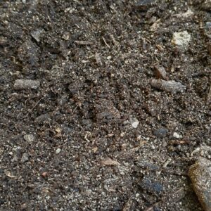 Potting Soil Premium Grade. 1 cube loose incl delivery in Helderberg Areas