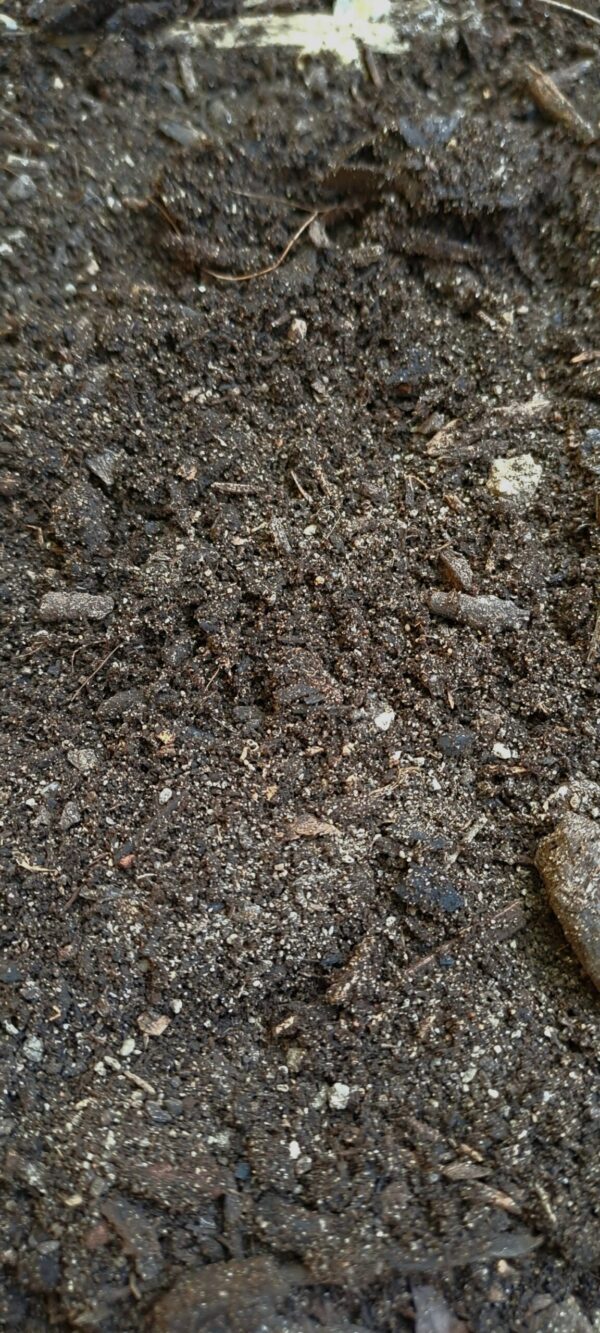 1000433395-1-scaled.jpg Potting Soil Premium Grade. 1 cube loose incl delivery in Helderberg Areas