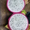 1000444114.jpg Dragon Fruit Rooted Cuttings. White Flesh