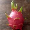 1000444118.jpg Dragon Fruit Rooted Cuttings. White Flesh