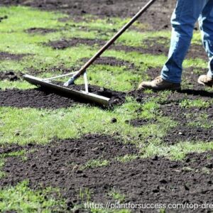 Lawn Dressing Per cube incl. delivery in Somerset-West/Strand. Classic grade.
