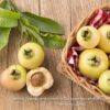 1000450149.jpg Rose Apple 4,5L