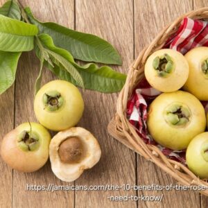 Rose Apple 4,5L