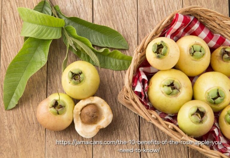 1000450149.jpg Rose Apple 4,5L
