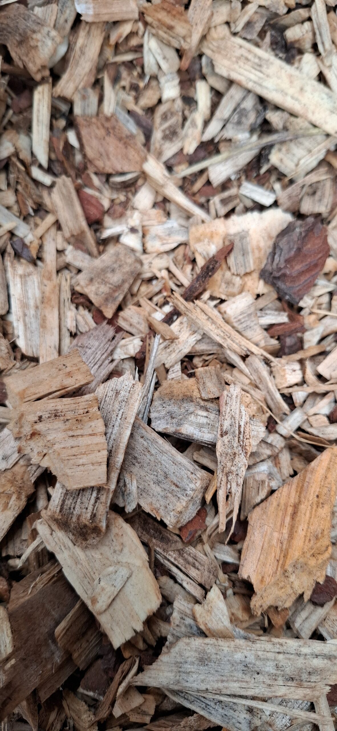 Wood Chip Mulch Bag 30dm - Image 2