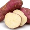 1000481204.jpg Edible Sweet Potato Plant 12cm