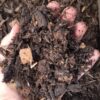 1000498188-scaled.jpg Compost Bag 30dm Rough