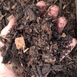Red Door Rough Compost Bag 30dm