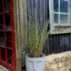 1000502848-2-scaled.jpg The 'Stillness' Collection Face Planters