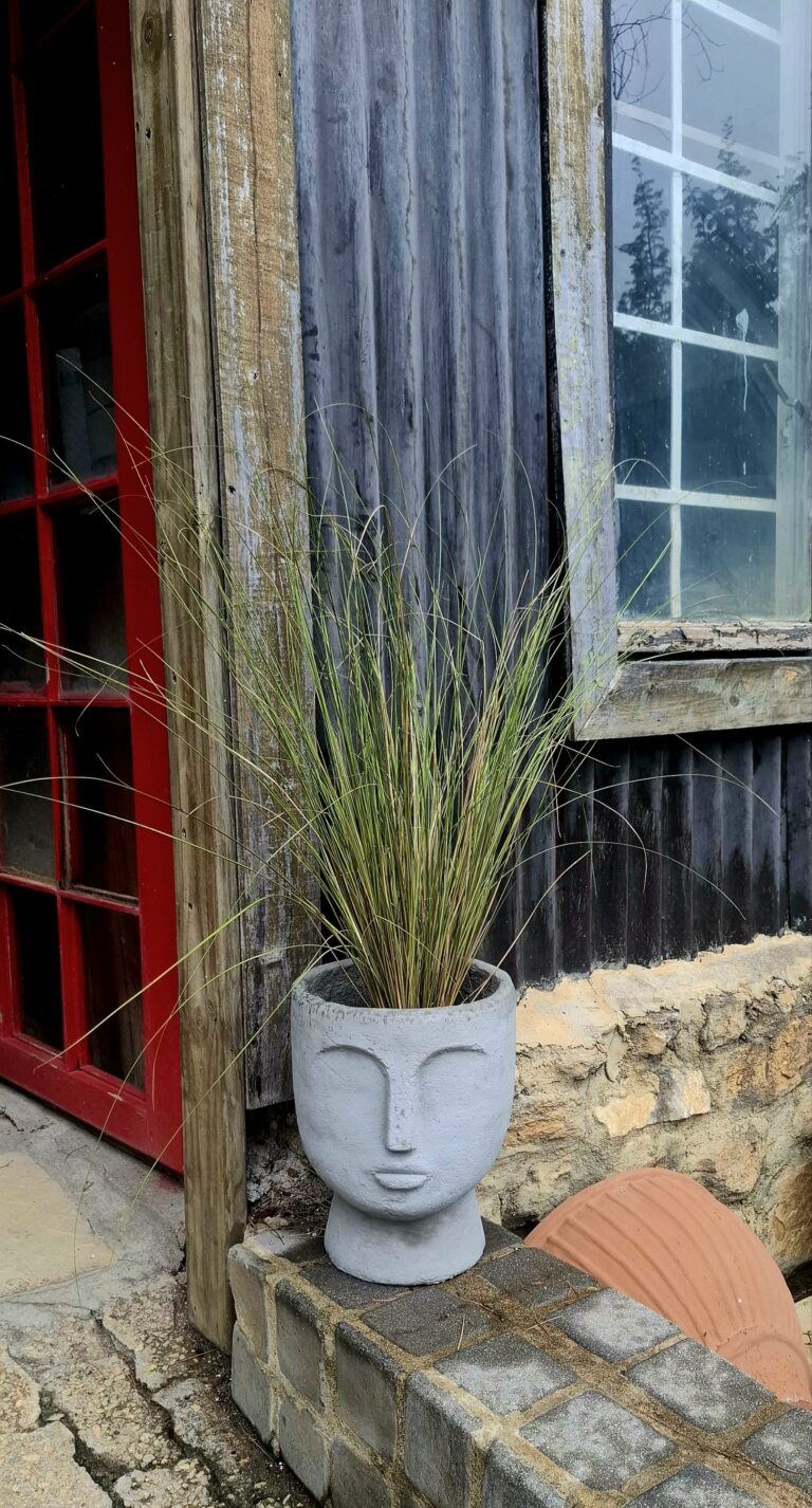 1000502848-2-scaled.jpg The 'Stillness' Collection Face Planters