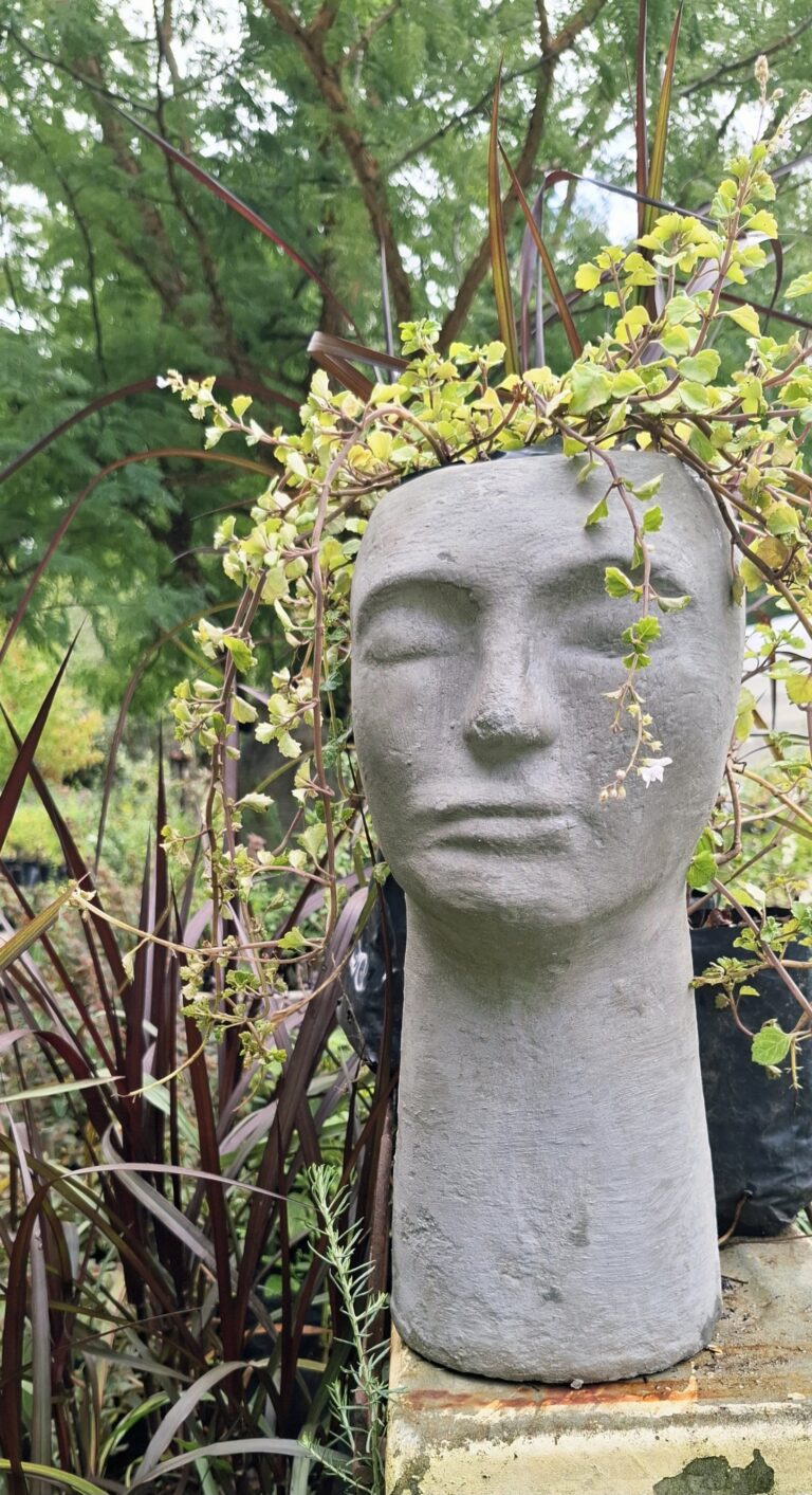 1000502922-1-scaled.jpg The 'Stillness' Collection Face Planters