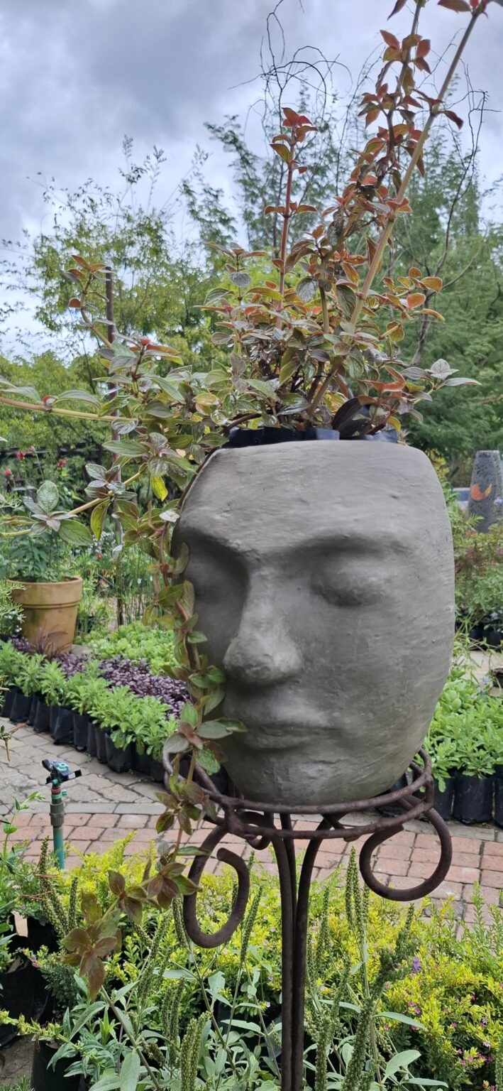 1000502973-2-scaled.jpg The 'Stillness' Collection Face Planters