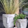 1000503006-1-scaled.jpg The 'Stillness' Collection Face Planters