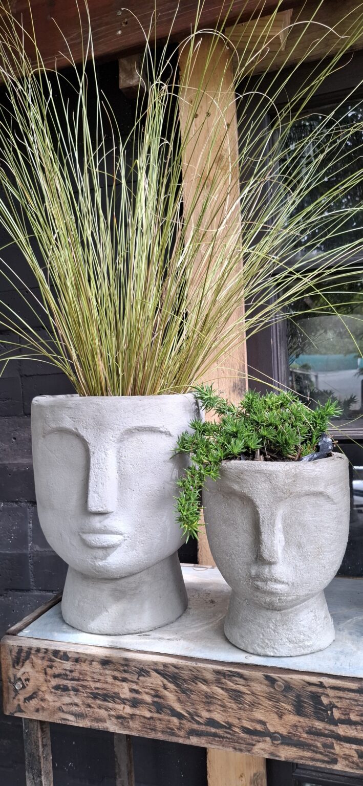 1000503006-1-scaled.jpg The 'Stillness' Collection Face Planters