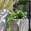 1000503008-scaled.jpg The 'Stillness' Collection Face Planters