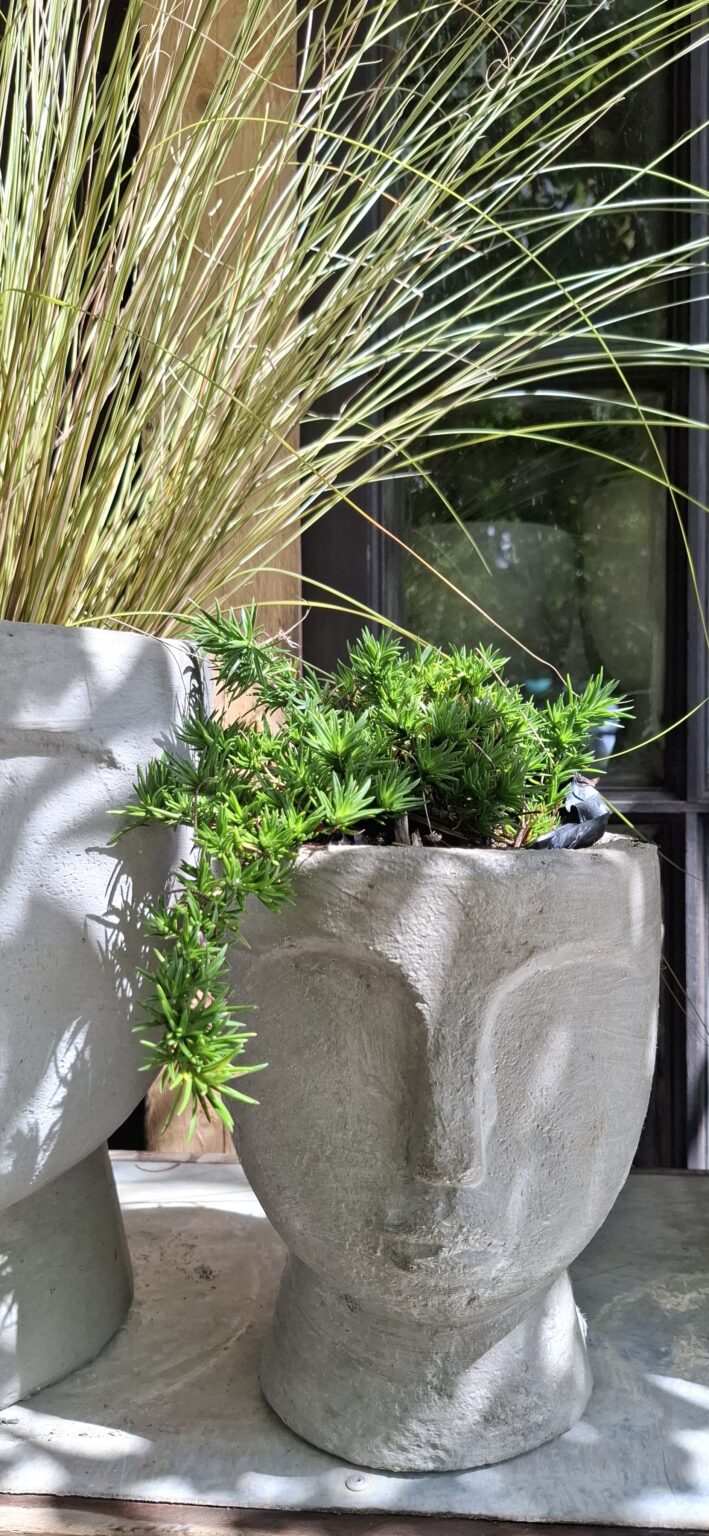 1000503008-scaled.jpg The 'Stillness' Collection Face Planters