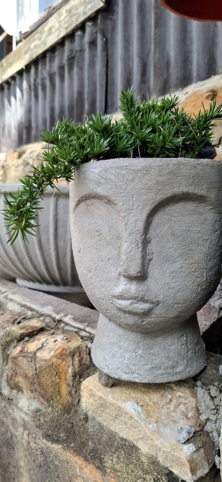 1000503009-2-scaled.jpg The 'Stillness' Collection Face Planters