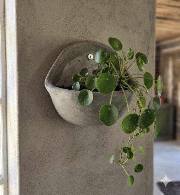 1000524116.jpg Studio Wall Planter