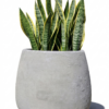 1000524123.png Studio Atlas Planter