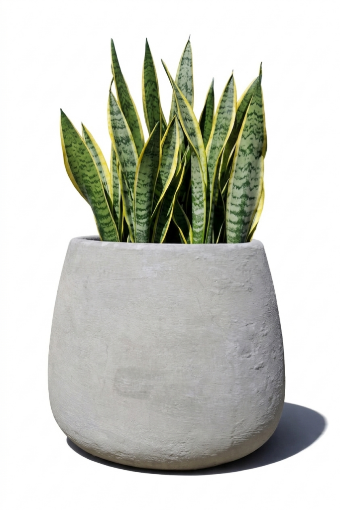 1000524123.png Studio Atlas Planter