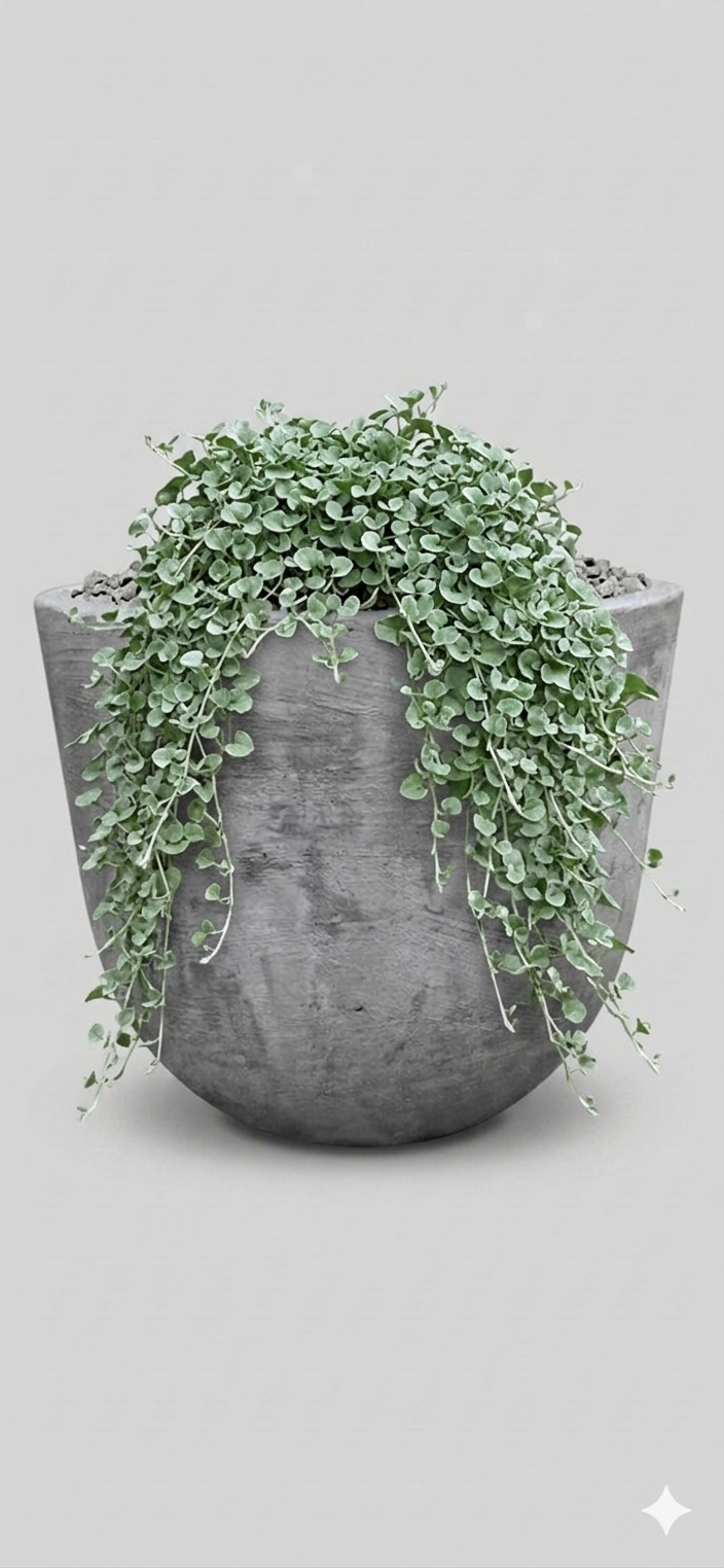 1000538760.png Studio Bullet Planter
