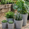 1000587924.png Studio Round Tapered Pot