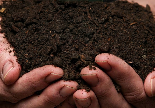 Premium Garden Compost – Delivered in Somerset West & Stellenbosch