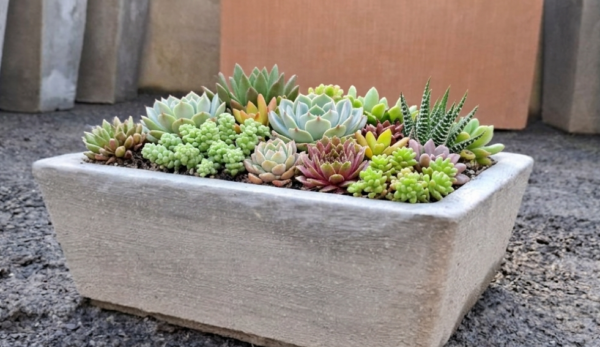 1000655202.png Studio Rectangle Bonsai/Succulent pot